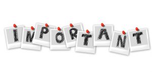 importance of projct risk management